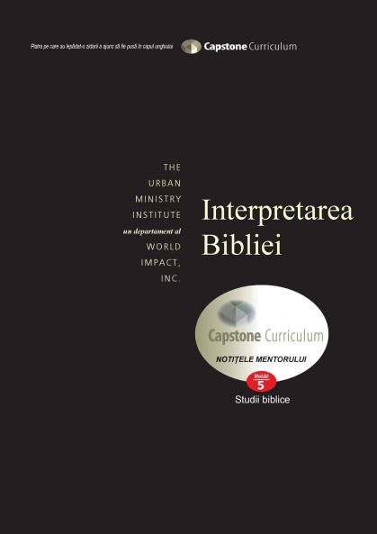 Bible Interpretation Mentor's Guide