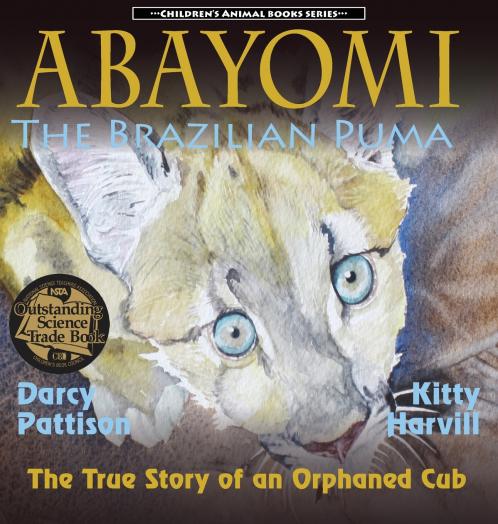 Abayomi the Brazilian Puma