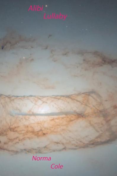 Alibi Lullaby
