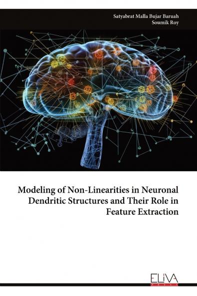 Modeling of Non-Linearities in Neuronal Dendritic Structures and Their Role in Feature Extraction