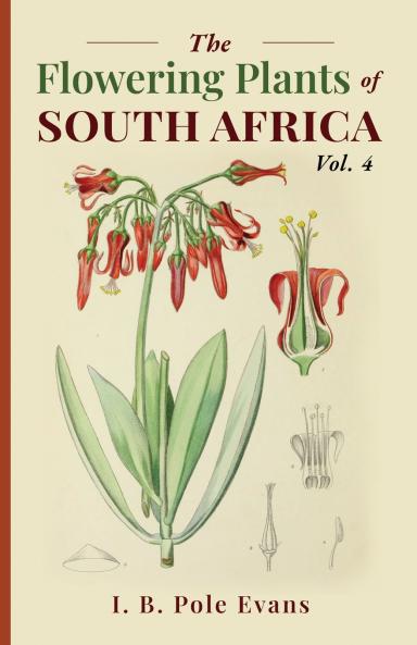 The flowering plants of South Africa vol. 4