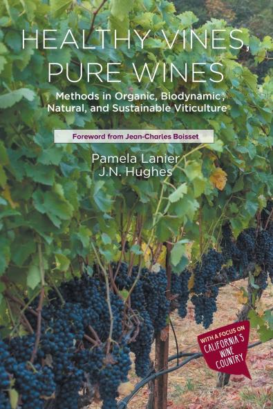 Healthy Vines Pure Wines