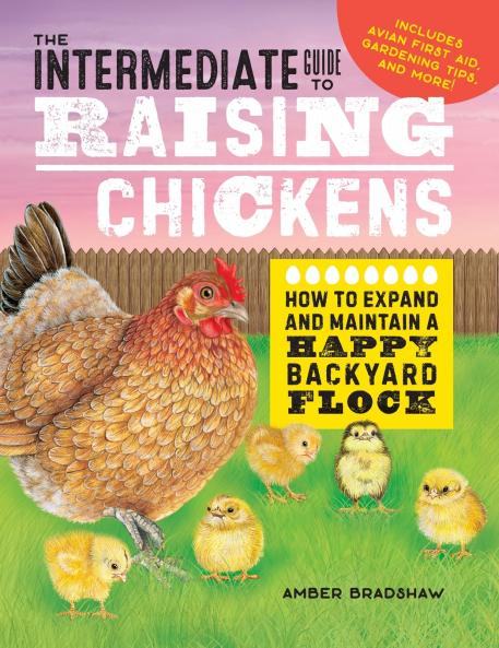 The Intermediate Guide to Raising Chickens