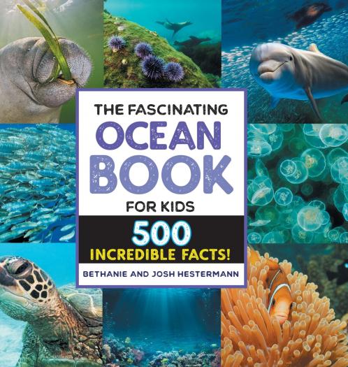 The Fascinating Ocean Book for Kids