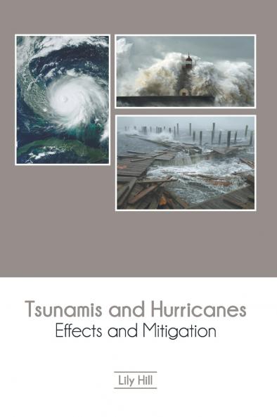 Tsunamis and Hurricanes