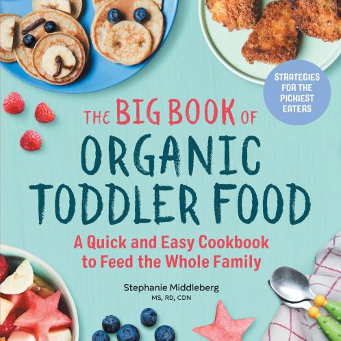 The Big Book of Organic Toddler Food