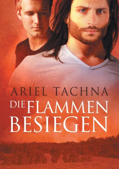 Die Flammen besiegen