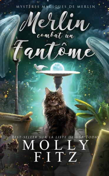 Merlin combat un fantôme