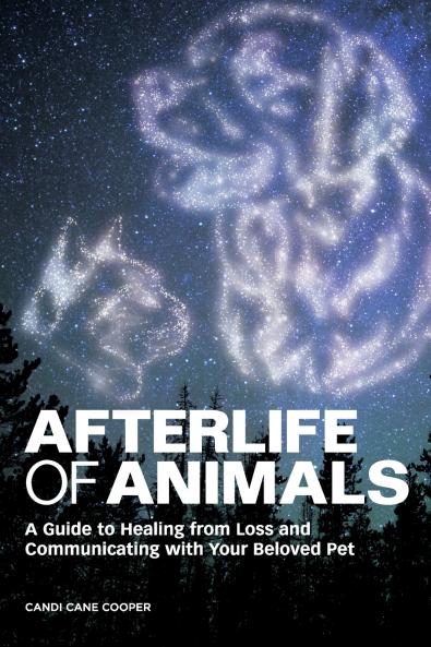 Afterlife of Animals