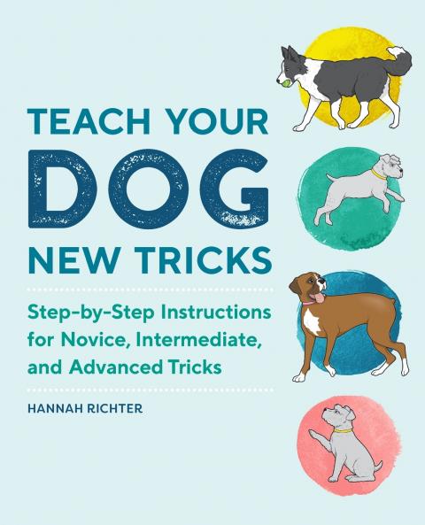 Teach Your Dog New Tricks