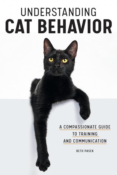 Understanding Cat Behavior