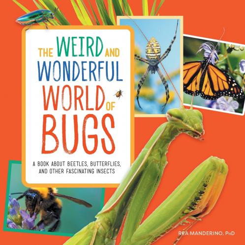 The Weird and Wonderful World of Bugs