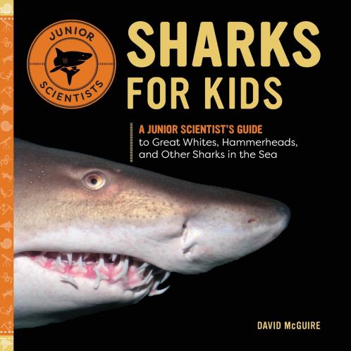 Sharks for Kids