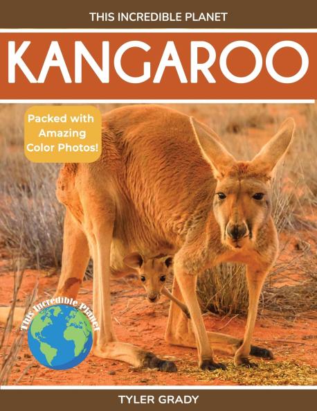 Kangaroo