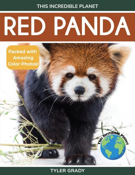Red Panda