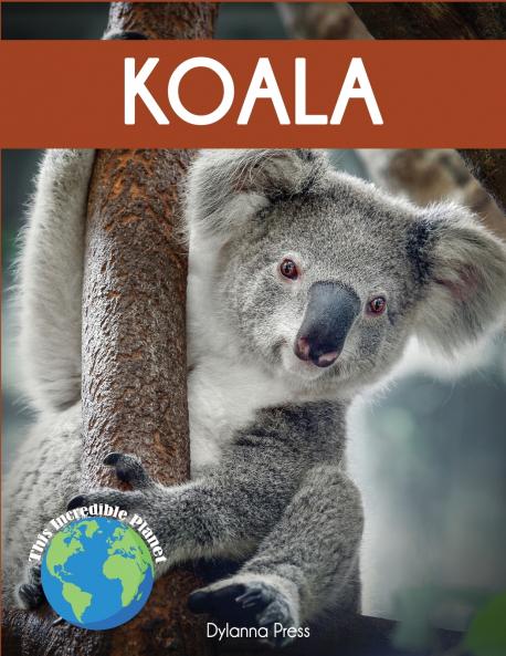 Koala