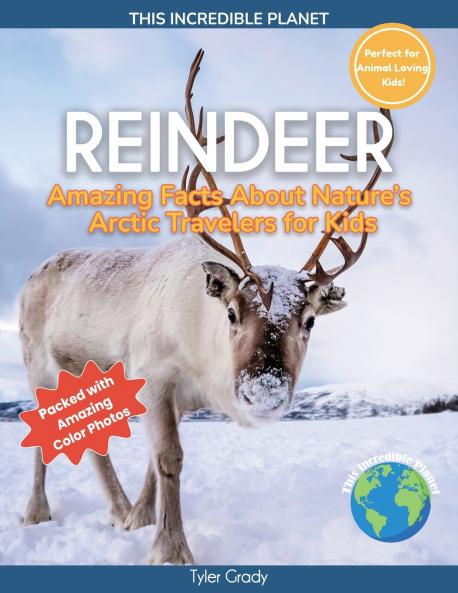 Reindeer