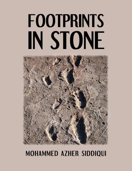 Footprints in Stone