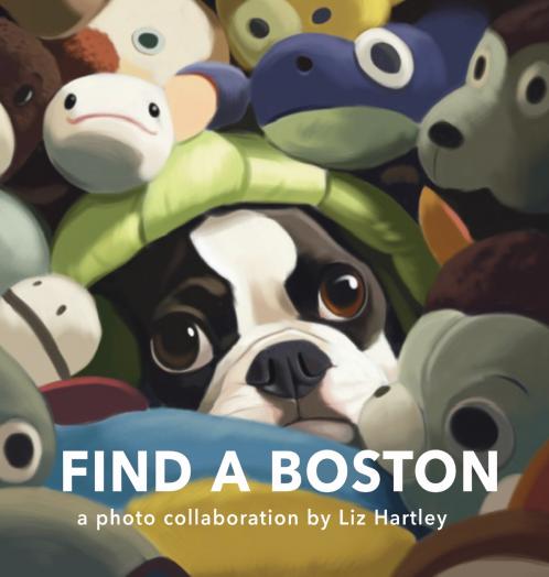 Find a Boston