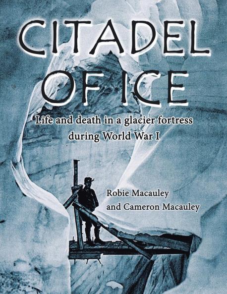 Citadel of Ice
