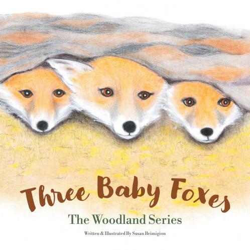 Three Baby Foxes