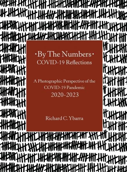 By The Numbers COVID-19 Reflections