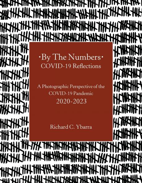 By The Numbers COVID-19 Reflections