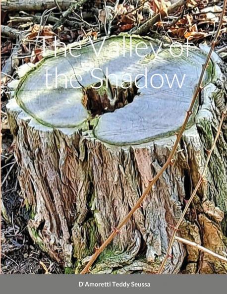 The Valley of the Shadow