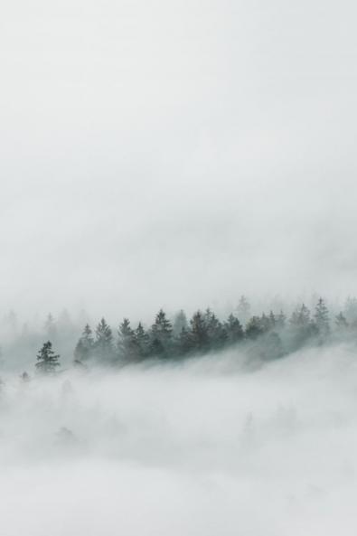 Die Geschichte des Klaus