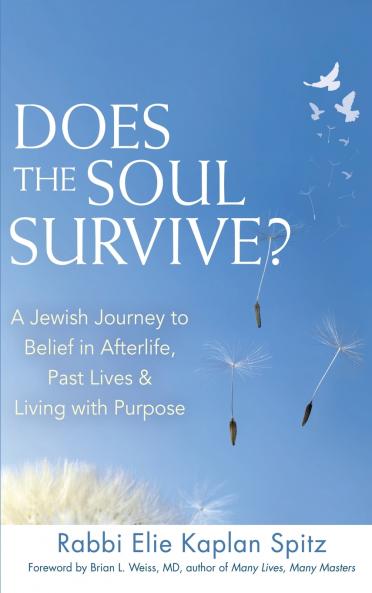 Does the Soul Survive? (2nd Edition)