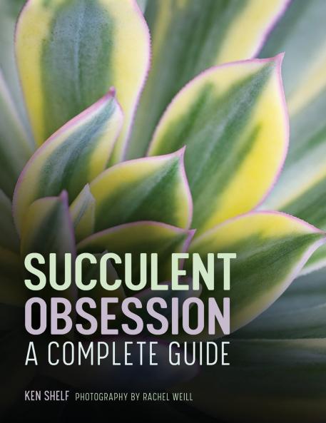 Succulent Obsession