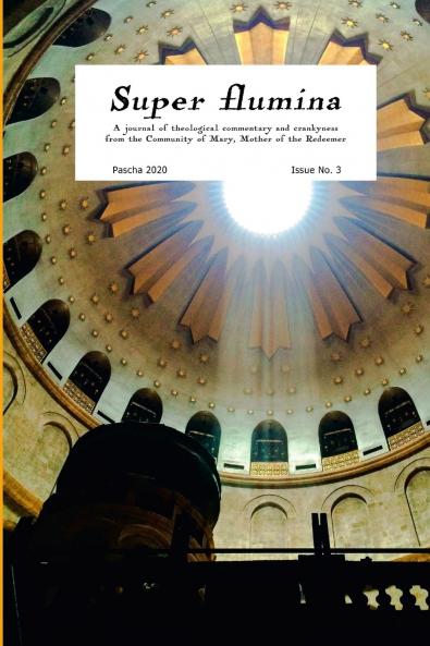 Super flumina issue 3