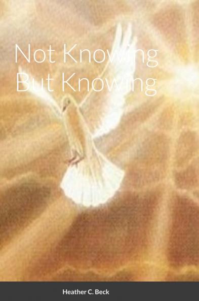 Not Knowing But Knowing