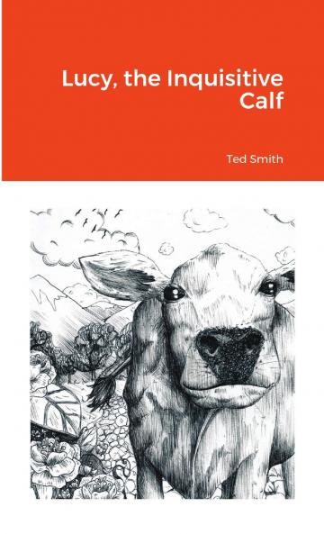 Lucy the Inquisitive Calf