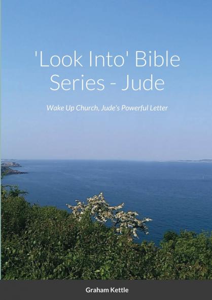 'Look Into' Bible Series