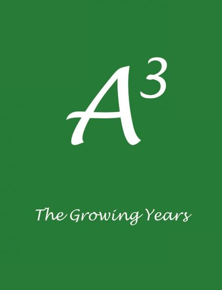 A3