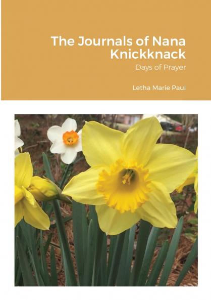The Journals of Nana Knickknack Volume 4