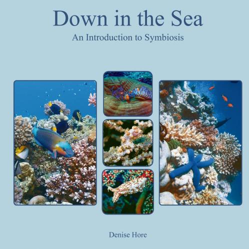 Down in the Sea An Introduction to Symbiosis