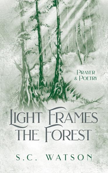 Light Frames the Forest