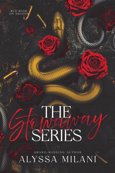 The Stowaway Series (Part 1-4)