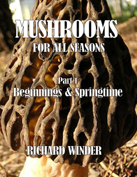 Mushrooms For All Seasons