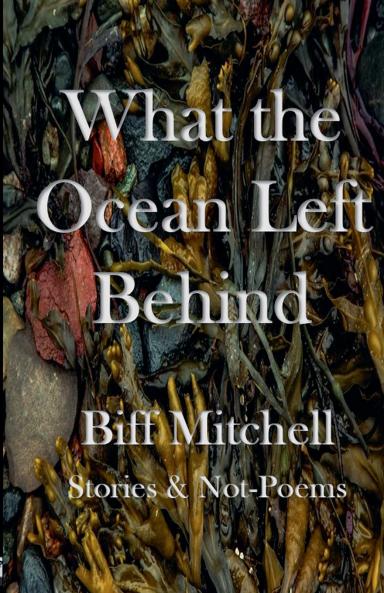 What the Ocean Left Behind