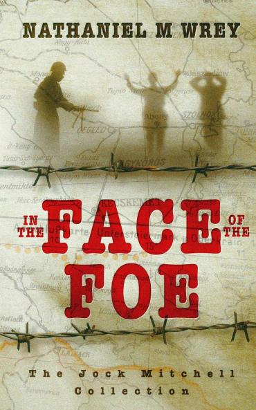 In the Face of the Foe