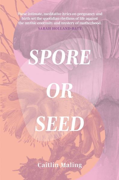 Spore or Seed