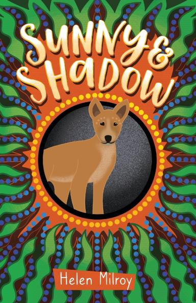 Sunny and Shadow