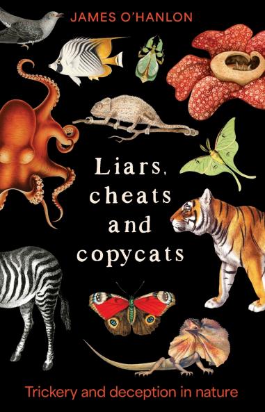 Liars cheats and copycats