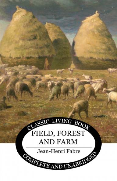 Field Forest and Farm