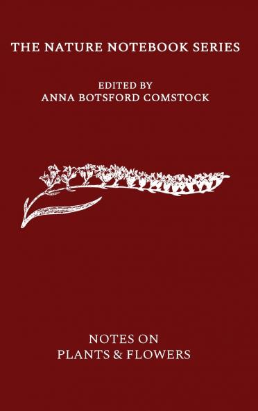 Notes on Plants and Flowers