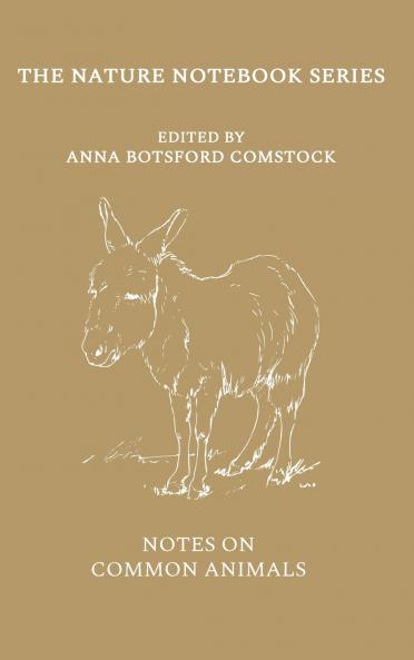 Notes on Common Animals