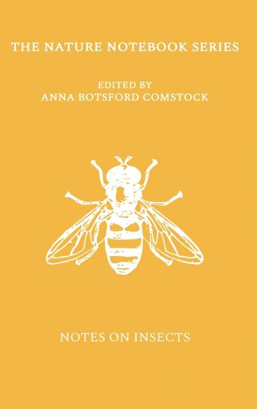 Notes on Insects